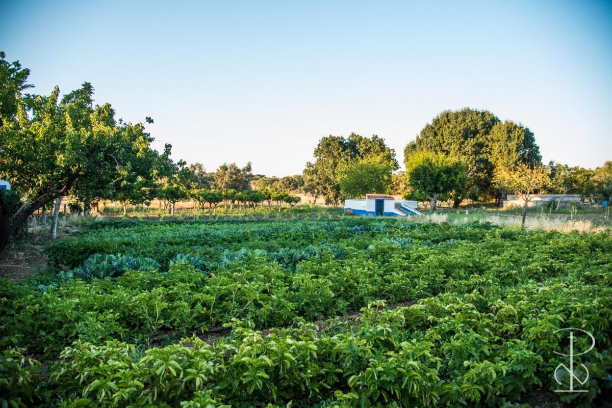 Quinta Do Poco Novo Βίλα Alcáçovas Εξωτερικό φωτογραφία